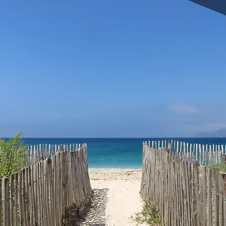 Le Saint Louis Blue Bulldog Hyères