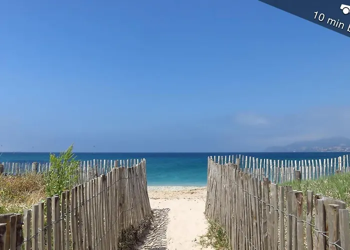 Le Saint Louis Blue Bulldog Hyeres